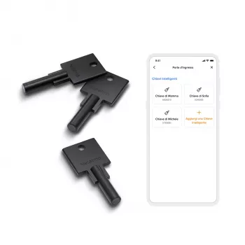 Netatmo NDL-K3U Smart Lock-accessoire Smart Lock-sleutel