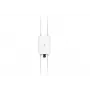 EnGenius Cloud ECW160 draadloos outdoor access point, Wi-Fi 5 (802.11ac) dualband 2,4/5 GHz, 1x Gigabit LAN, ondersteuning voor externe antennes, mesh, WPA3