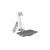 ICY BOX IB-MS600-W 61 cm (24 inch) wandmontage grijs, zilver, wit