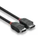 Lindy 1m DisplayPort 1.2 kabel, Black Line