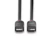 Lindy 1m DisplayPort 1.2 kabel, Black Line