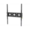 iiyama MD-WM6080 monitorhouder / standaard wand zwart