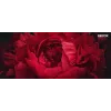 Xerox Genuine ® B410 printer/VersaLink® B415 multifunctionele printer zwarte tonercartridge met extra hoge capaciteit (25000 pagina's) - 006R04727