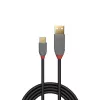 Lindy 1 m USB 2.0 Type-A-naar-C-kabel, Anthra Line