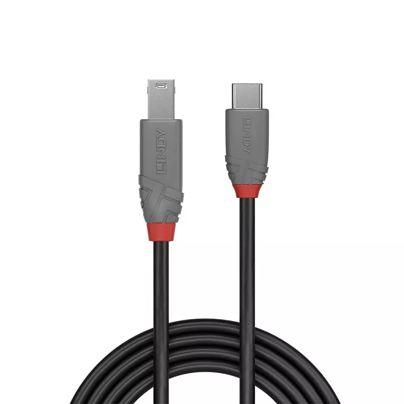 Lindy 2m USB 3.2 Type-C-naar-B kabel, Anthra Line