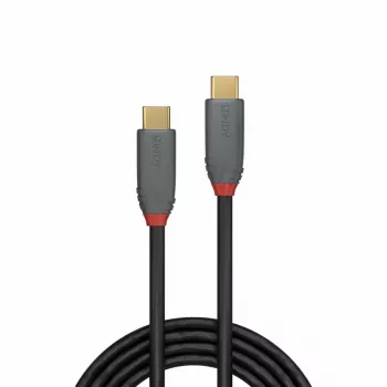 Lindy 2m USB 3.2 Type-C-kabel, 5A PD, Anthra Line
