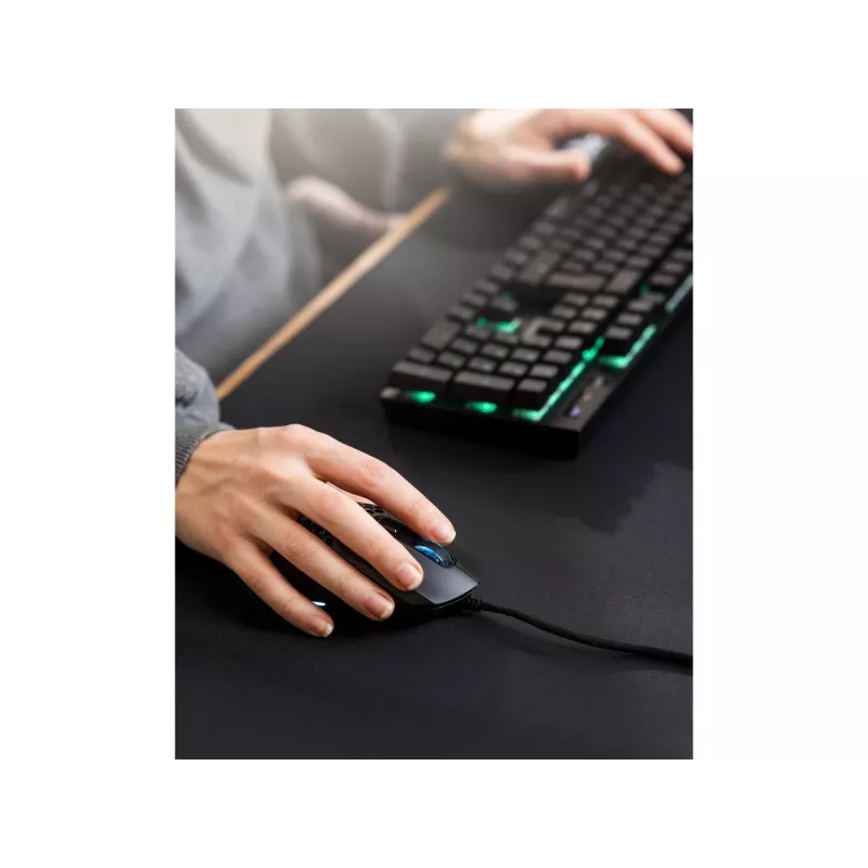 Sandberg FlexCover 6D muis USB Type-A