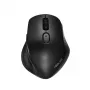 ASUS MW203 muis kantoor rechtshandig RF draadloos + Bluetooth optisch 2400 DPI
