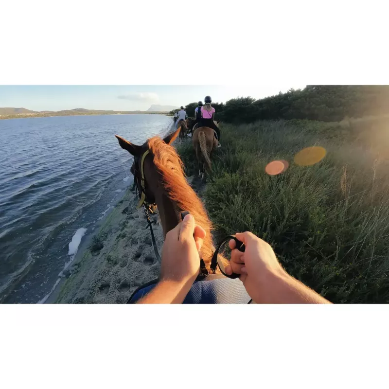 Camerahouder GoPro Head Strap 2.0 alle HERO camera's