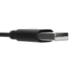 Targus AEH102GL headset bedraad hoofdband gesprekken/muziek USB Type-A zwart