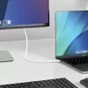 StarTech.com 6ft (2m) USB-C naar DisplayPort 1.2-kabel, bidirectioneel, 4K 60Hz, wit, videoadapterkabel voor Apple MacBook Pro / Air M1 M2 M3 M4, Mac Mini / Studio, Thunderbolt-compatibel