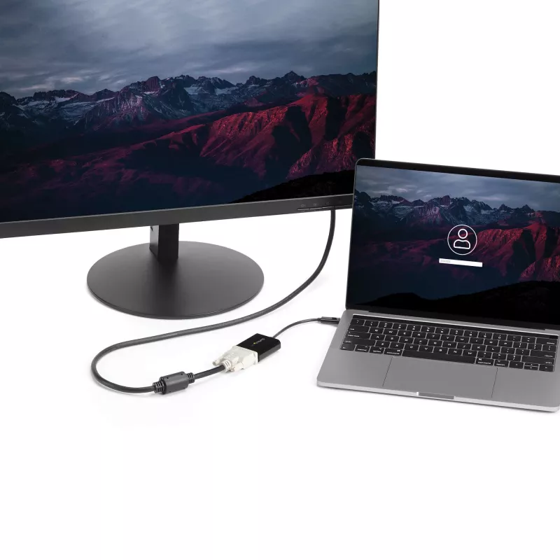StarTech.com USB-C naar DVI-adapter – zwart – 1920x1200 – USB Type-C videoconverter voor uw DVI-D-scherm/monitor/projector – bijgewerkte versie is CDP2DVIEC