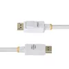 StarTech.com 10ft (3m) witte VESA-gecertificeerde DisplayPort 1.2-kabel, 4K 60Hz, 21,6 Gbit/s, vergrendelbare DP-stekkers, DP 1.2 DisplayPort-kabel, DP-monitorkabel, M/M