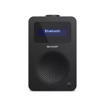 Personalradio Sharp DR-430 Digitale tuner DAB DAB+ FM