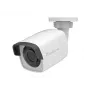 LevelOne GEMINI vaste IP-netwerkcamera, 4 megapixel, IR-LED's, 802.3af PoE, binnen/buiten