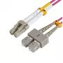 Microconnect FIB422002P InfiniBand/glasvezelkabel 2 m LC SC paars