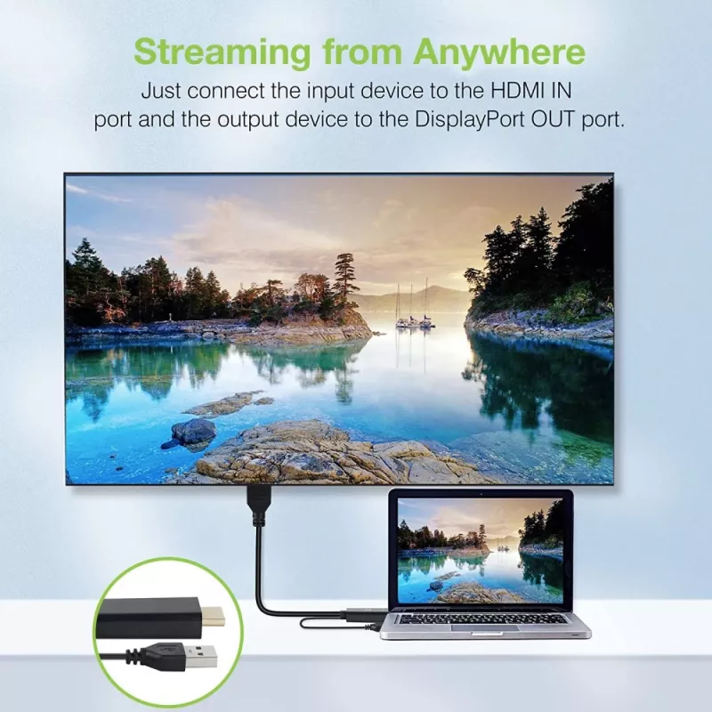 Techly ICOC-HDMI-DP12A HDMI-naar-DisplayPort-adapter met USB-voeding, 4K 30 Hz