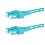 Lanview LVO231476 InfiniBand/glasvezelkabel 10 m 2x SC aqua