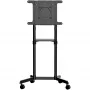 StarTech.com mobiele tv-wagen - draagbare rollende tv-standaard voor 37-70 inch VESA-display (154lb/70kg) - tv-standaard met plateau & opbergvak - display draaien/kantelen - universele tv-beugel op wielen