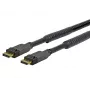 Vivolink PRODPAM10 DisplayPort-kabel 10 m zwart