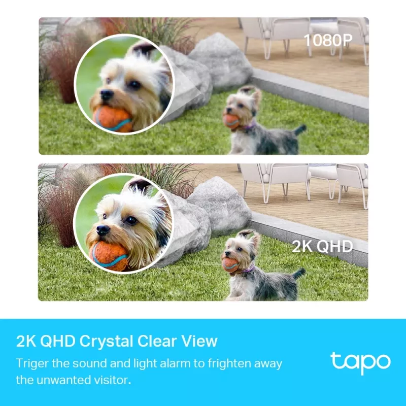 TP-Link Tapo slim draadloos beveiligingscamerasysteem, 1-camerasysteem