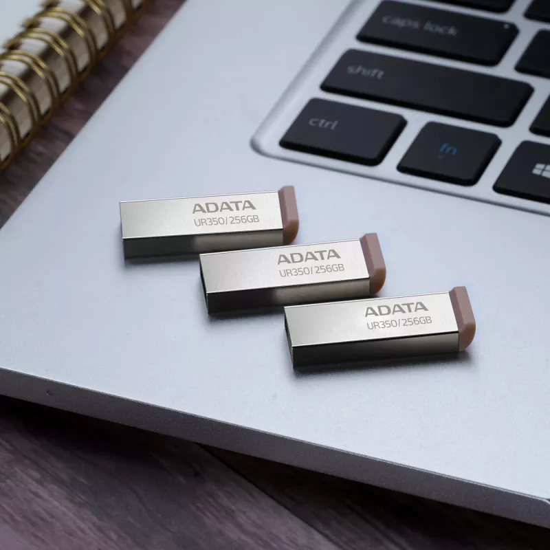 ADATA UR350 USB-flashdrive 256 GB USB Type-A 3.2 Gen 1 (3.1 Gen 1) bruin, roestvrij staal