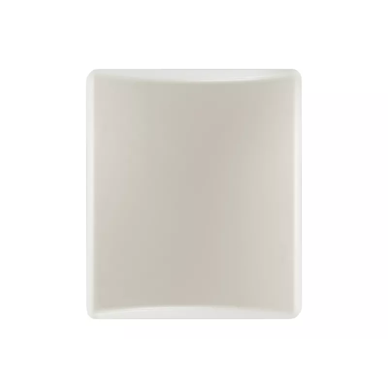 LevelOne 12dBi 2.4GHz richtpaneelantenne, binnen/buiten