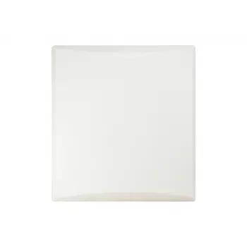 LevelOne 20dBi 5GHz richtantenne voor binnen en buiten