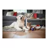 Philips PowerPro Expert stofzuiger zonder zak FC9729/09