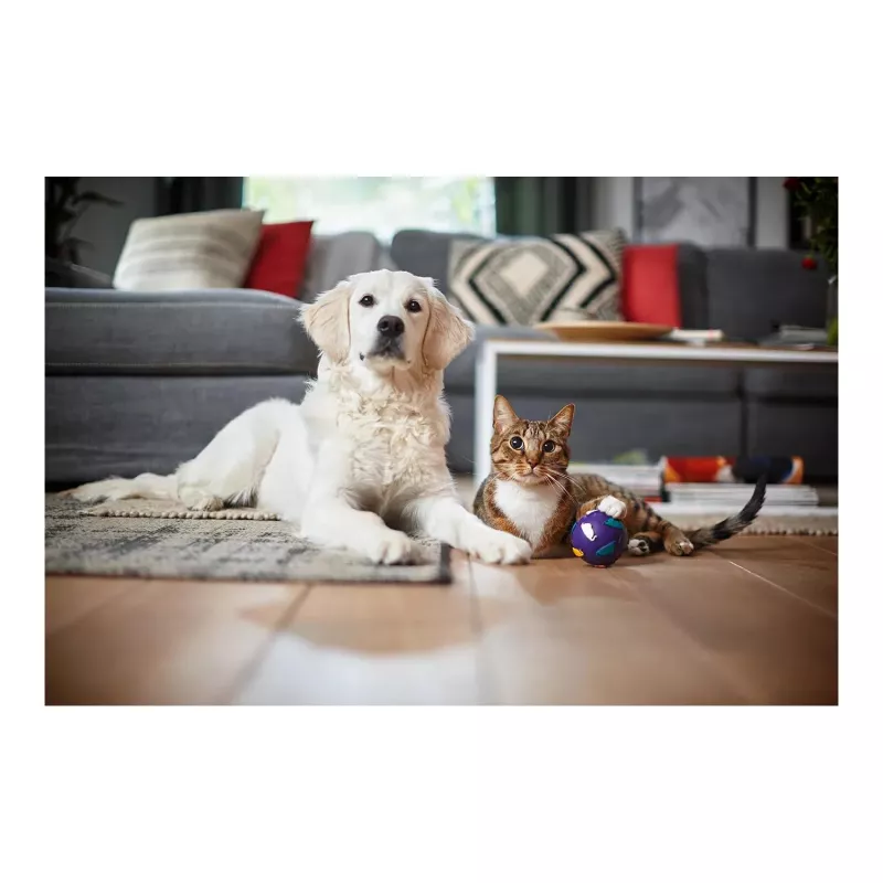 Philips PowerPro Expert stofzuiger zonder zak FC9729/09
