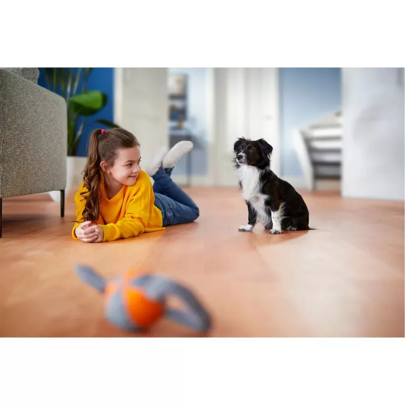 Philips PowerPro Expert stofzuiger zonder zak FC9729/09