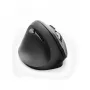 Hama EMW-500L muis office linkshandig RF draadloos optisch 1800 DPI