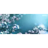 Xerox originele Phaser® 3330, WorkCentre® 3300 Series zwarte high-capacity-tonercartridge (8500 pagina's) – 106R03622