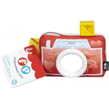 Fisher-Price Everything Baby DFR11 educatief speelgoed
