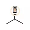 Verlichtingsring Denver RLS-801 80 LED 600 lm 6500 K USB
