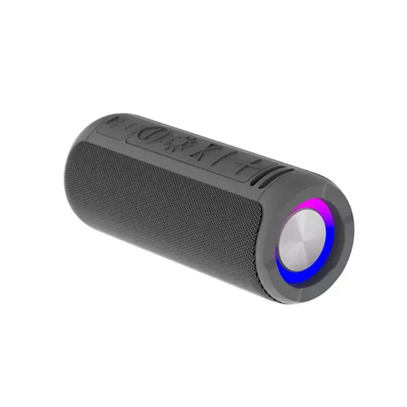 Denver BTV-213GR draagbare Bluetooth-speaker, grijs