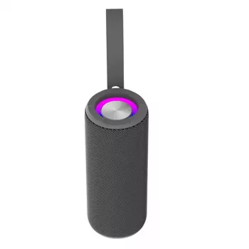 Mono draagbare luidspreker Denver BTV-213GR zwart
