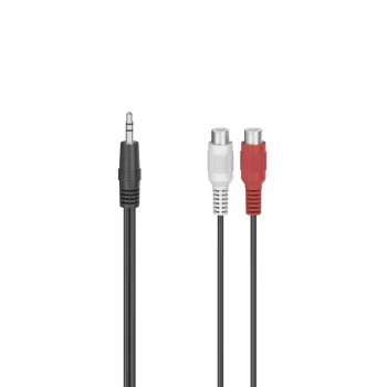 Hama 00205185 audiokabel 0,1 m 2 x RCA 3,5 mm zwart