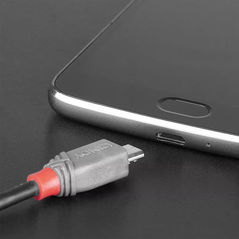 Lindy 0,5 m USB 2.0 Type-C-naar-Micro-B-kabel, Anthra Line