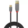 Lindy 0,15 m USB 3.2 Type-C-naar-A-adapterkabel, 10 Gbit/s, Anthra Line