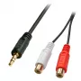 Lindy 0,25 m AV-adapterkabel – 3,5-mm jackstekker naar 2 x cinch-bus