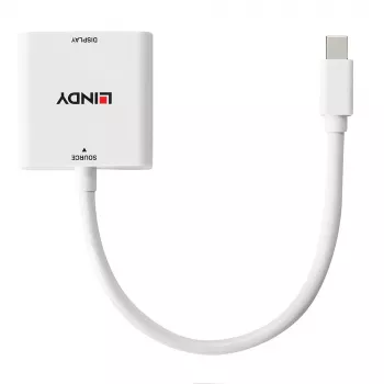 Lindy Mini DisplayPort naar DVI converter 0,18 m Mini DisplayPort DVI-I