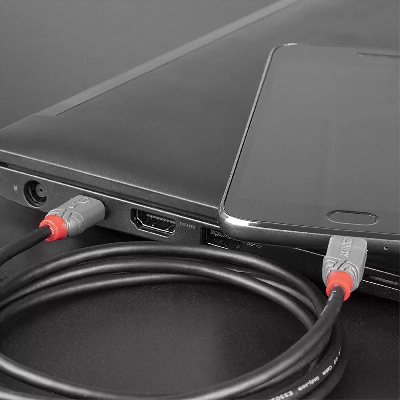 Lindy 1m USB 2.0 Type-C naar Micro-B-kabel, Anthra Line