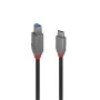 Lindy 0,5 m USB 3.2 Type-C naar B-kabel 5 Gbit/s zwart