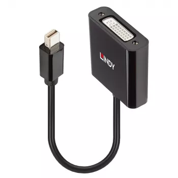 Lindy Mini DisplayPort naar DVI actieve converter 0,16 m zwart