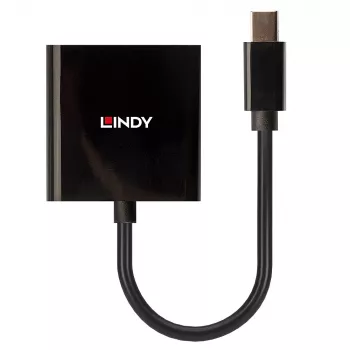 Lindy Mini DisplayPort naar DVI actieve converter 0,16 m zwart