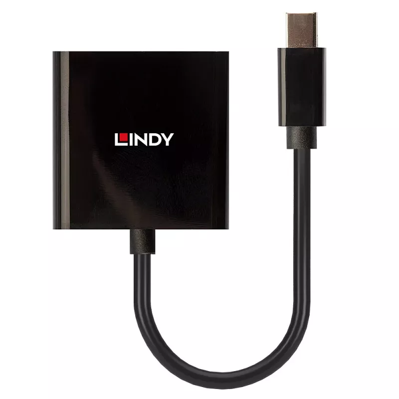 Lindy Mini DisplayPort naar DVI actieve converter 0,16 m zwart