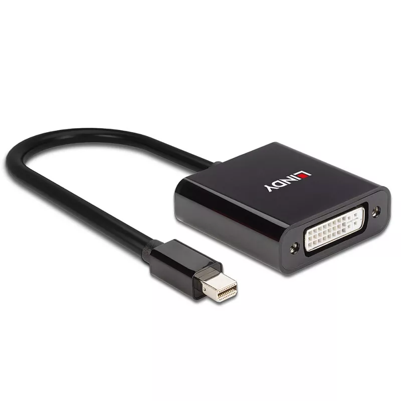 Lindy Mini DisplayPort naar DVI actieve converter 0,16 m zwart
