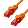 Ethernet-kabel ProXtend CAT6 RJ-45 U/UTP 20CM oranje