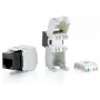 Cat.6 ongeafschermde keystone jack gereedschapsloos Equip 769211